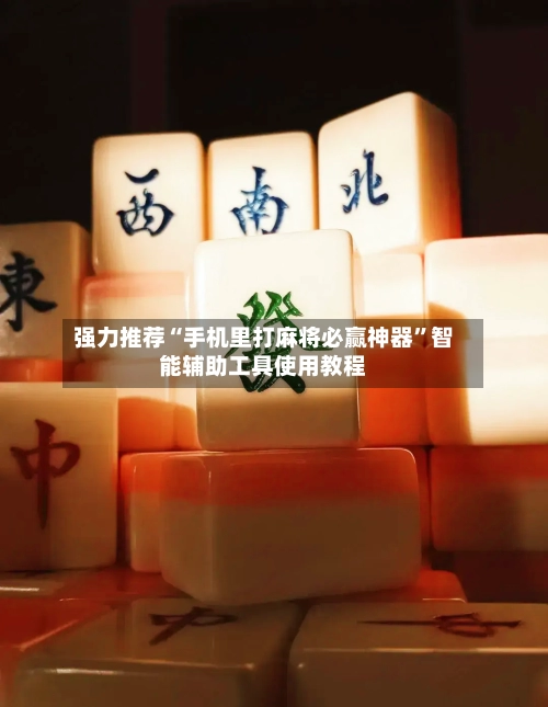 强力推荐“手机里打麻将必赢神器	”智能辅助工具使用教程-第2张图片