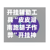 开挂辅助工具“皮皮湖南跑胡子作弊”开挂神器{透视辅助}全揭秘