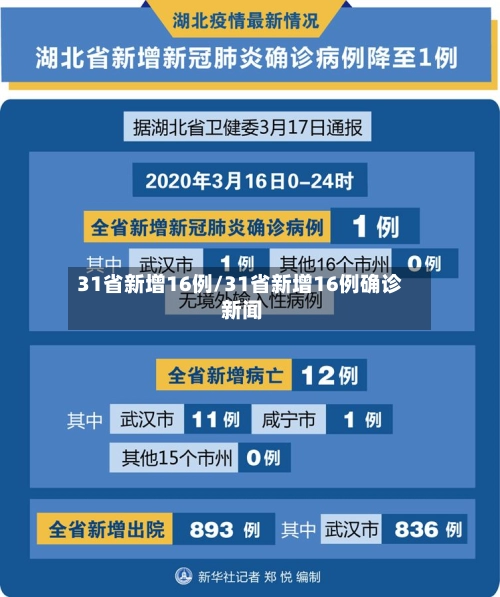 31省新增16例/31省新增16例确诊 新闻-第2张图片