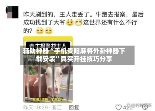 辅助神器“手机贵阳麻将外卦神器下载安装”真实开挂技巧分享-第3张图片