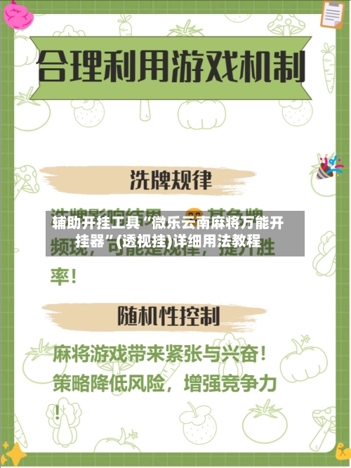 辅助开挂工具“微乐云南麻将万能开挂器”(透视挂)详细用法教程-第2张图片