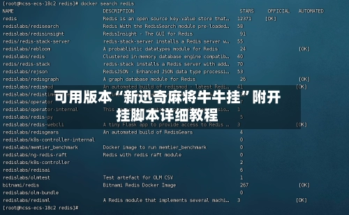 可用版本“新迅奇麻将牛牛挂”附开挂脚本详细教程-第2张图片