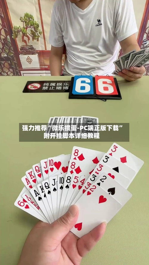 强力推荐“微乐掼蛋-PC端正版下载”附开挂脚本详细教程-第3张图片