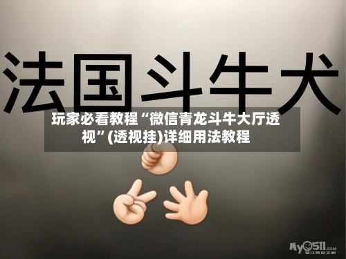 玩家必看教程“微信青龙斗牛大厅透视”(透视挂)详细用法教程-第2张图片