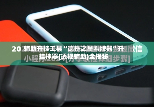辅助开挂工具“德扑之星看牌器”开挂神器{透视辅助}全揭秘-第2张图片