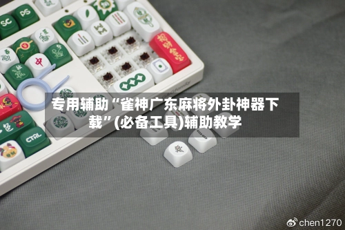 专用辅助“雀神广东麻将外卦神器下载”(必备工具)辅助教学-第2张图片