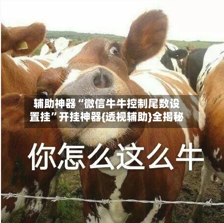 辅助神器“微信牛牛控制尾数设置挂”开挂神器{透视辅助}全揭秘-第2张图片