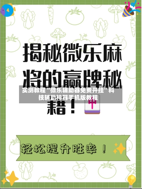 实测教程“微乐辅助器免费开挂	”科技辅助神器手机版教程-第2张图片