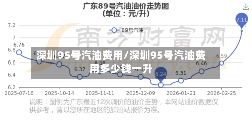 深圳95号汽油费用/深圳95号汽油费用多少钱一升