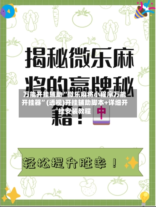 万能开挂辅助“微乐麻将小程序万能开挂器”(透视)开挂辅助脚本+详细开挂安装教程-第2张图片