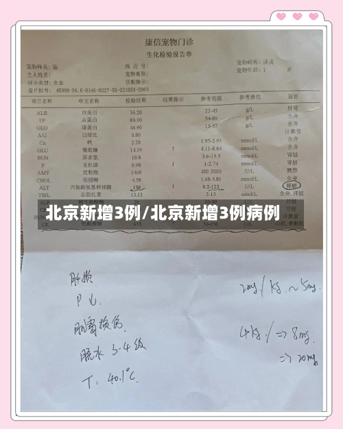 北京新增3例/北京新增3例病例