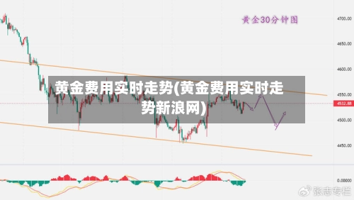 黄金费用实时走势(黄金费用实时走势新浪网)-第2张图片