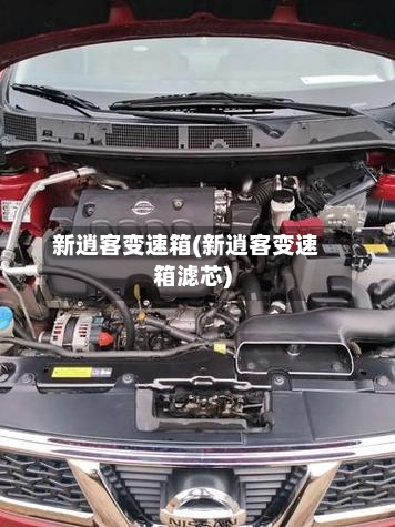 新逍客变速箱(新逍客变速箱滤芯)-第2张图片