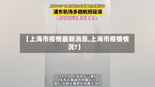 【上海市疫情最新消息,上海市疫情情况?】-第2张图片