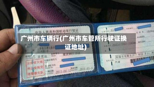 广州市车辆行(广州市车管所行驶证换证地址)