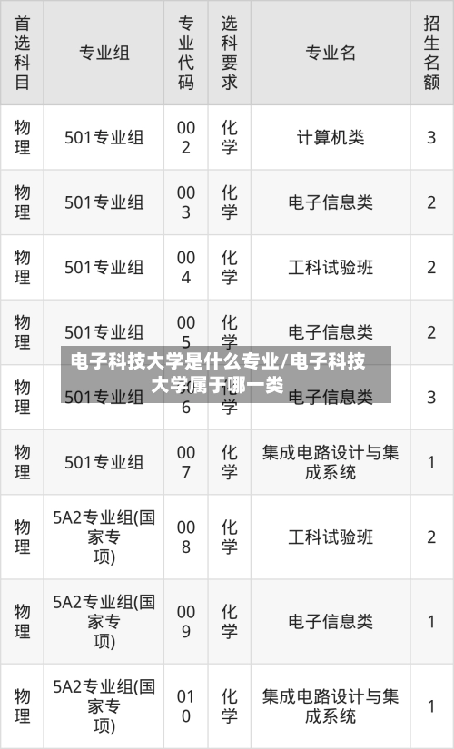 电子科技大学是什么专业/电子科技大学属于哪一类-第3张图片