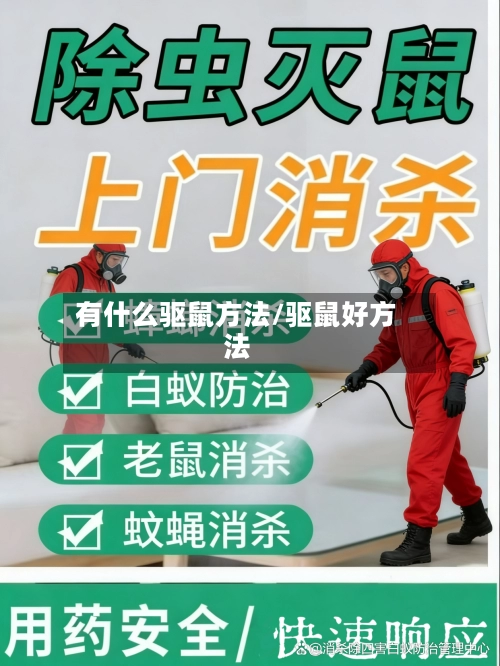 有什么驱鼠方法/驱鼠好方法
