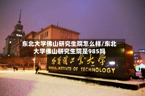 东北大学佛山研究生院怎么样/东北大学佛山研究生院是985吗-第3张图片