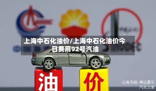 上海中石化油价/上海中石化油价今日费用92号汽油-第3张图片