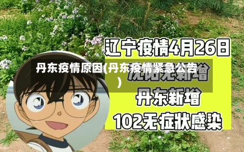 丹东疫情原因(丹东疫情紧急公告)-第2张图片