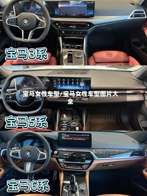 宝马女性车型/宝马女性车型图片大全-第2张图片