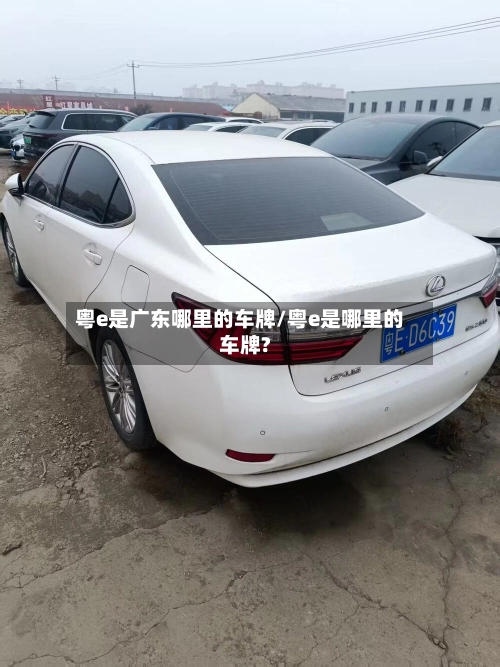 粤e是广东哪里的车牌/粤e是哪里的车牌?-第2张图片