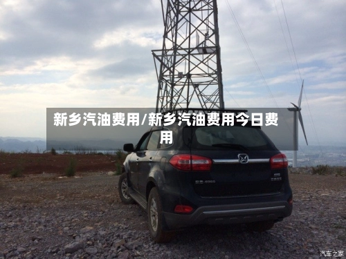 新乡汽油费用/新乡汽油费用今日费用