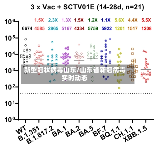 新型冠状病毒山东/山东省新冠病毒实时动态-第3张图片