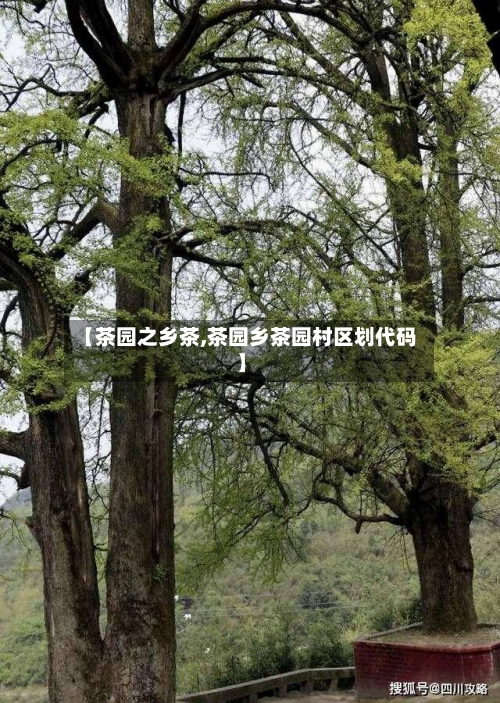 【茶园之乡茶,茶园乡茶园村区划代码】-第2张图片