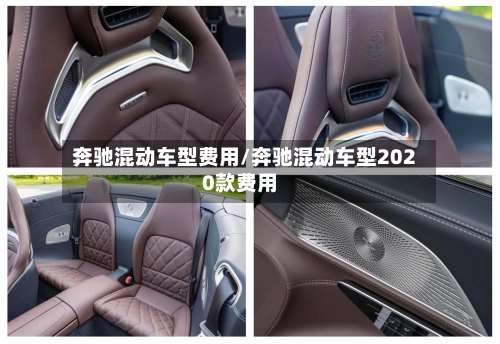 奔驰混动车型费用/奔驰混动车型2020款费用-第2张图片