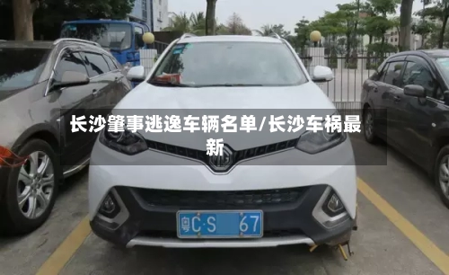 长沙肇事逃逸车辆名单/长沙车祸最新-第2张图片