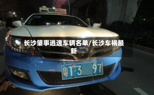 长沙肇事逃逸车辆名单/长沙车祸最新