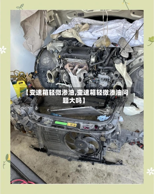 【变速箱轻微渗油,变速箱轻微渗油问题大吗】