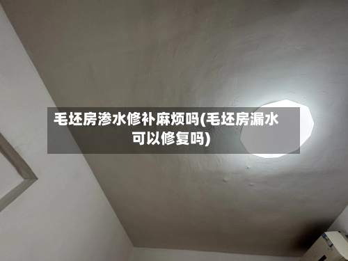毛坯房渗水修补麻烦吗(毛坯房漏水可以修复吗)-第2张图片