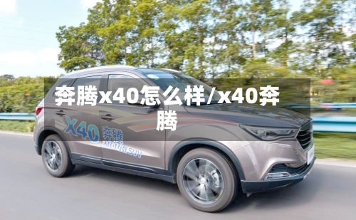 奔腾x40怎么样/x40奔腾