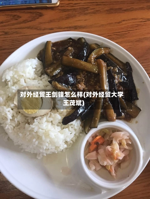 对外经贸王剑锋怎么样(对外经贸大学王茂斌)