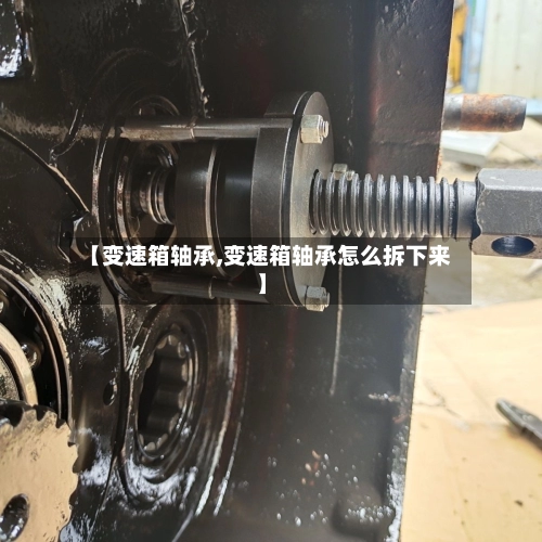 【变速箱轴承,变速箱轴承怎么拆下来】-第2张图片