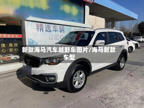 新款海马汽车越野车图片/海马新款车型-第2张图片