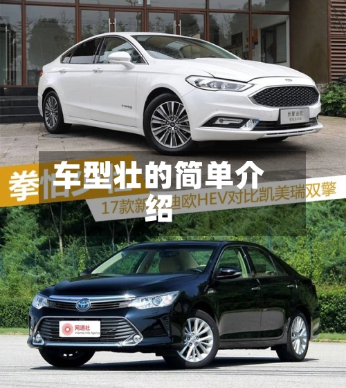 车型壮的简单介绍