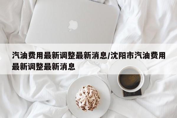 汽油费用最新调整最新消息/沈阳市汽油费用最新调整最新消息