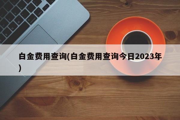 白金费用查询(白金费用查询今日2023年)