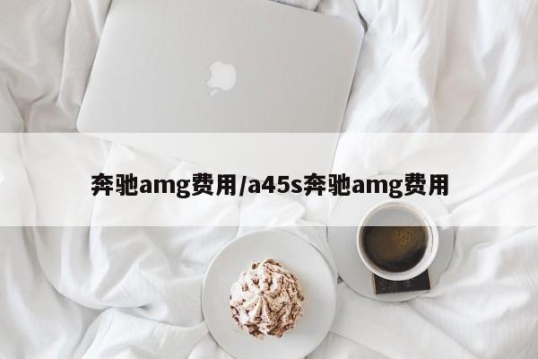 奔驰amg费用/a45s奔驰amg费用