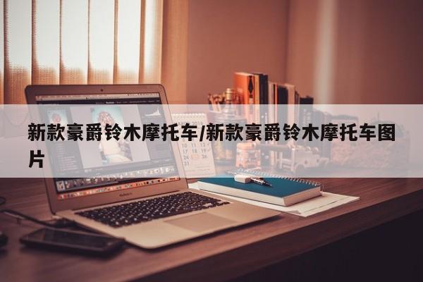 新款豪爵铃木摩托车/新款豪爵铃木摩托车图片