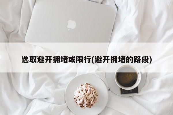 选取避开拥堵或限行(避开拥堵的路段)
