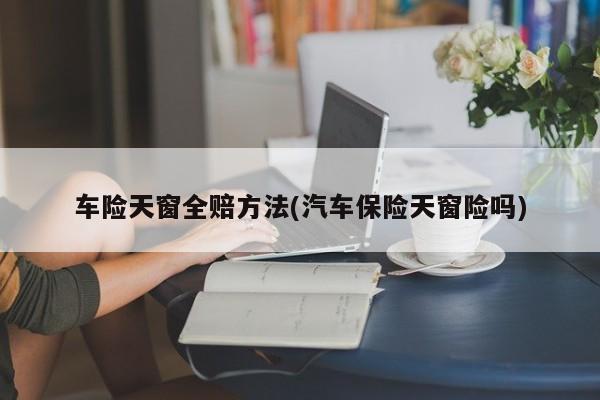 车险天窗全赔方法(汽车保险天窗险吗)